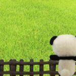 嫉妬で苦しい時！嫉妬を味方にして幸せなる４つのプロセス
